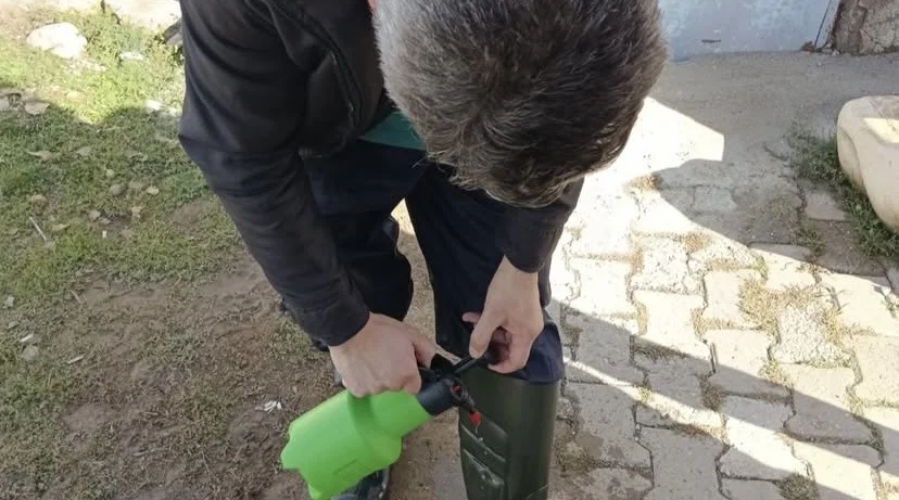 Sivas’ta Büyükbaş Hayvanlarda Rapel Aşılama Başladı Sivas’ta Büyükbaş Hayvanlarda Rapel Aşılama Başladı