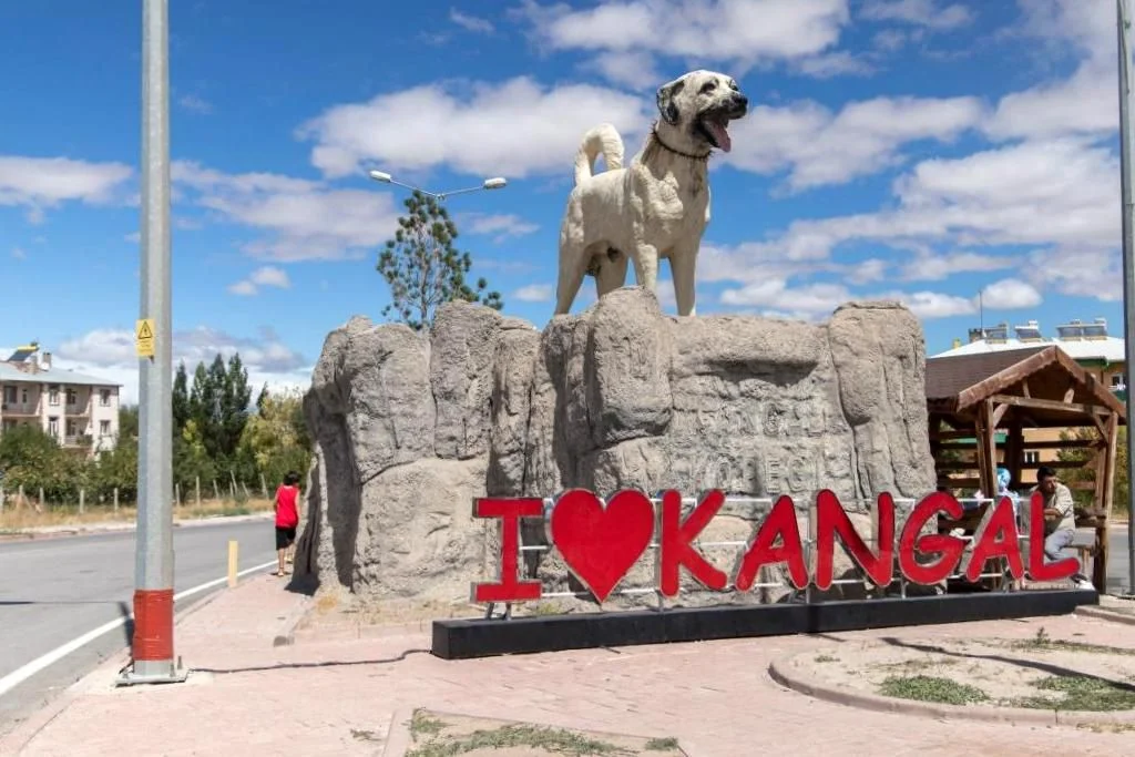 Kangal: Tarihi Mirası, Doğal Zenginlikleri ve Kültürel Kimliğiyle Öne Çıkan İlçe Kangal: Tarihi Mirası, Doğal Zenginlikleri ve Kültürel Kimliğiyle Öne Çıkan İlçe