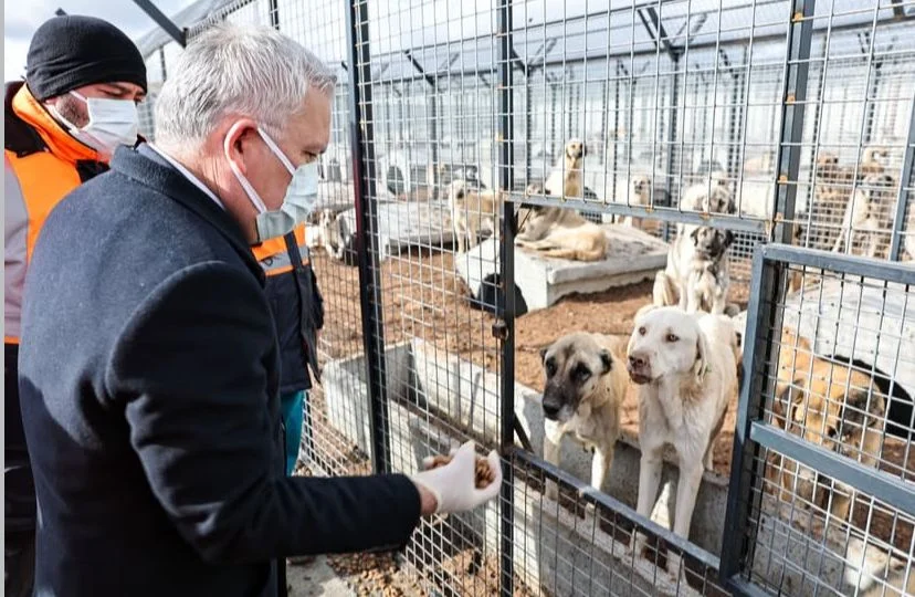 Vali Şimşek’ten Meraküm Hayvan Merkezine Yerinde İnceleme Vali Şimşek’ten Meraküm Hayvan Merkezine Yerinde İnceleme
