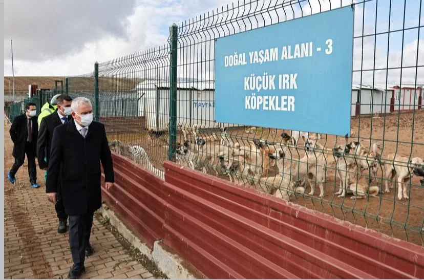 Vali Şimşek’ten Meraküm Hayvan Merkezine Yerinde İnceleme Vali Şimşek’ten Meraküm Hayvan Merkezine Yerinde İnceleme